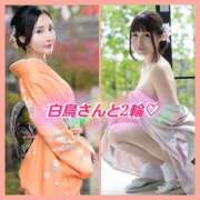 ヒメ日記 2025/11/28 18:06 投稿 朝日奈まお プレジデントクラブ