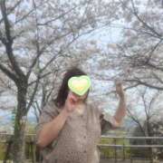 ヒメ日記 2025/04/09 08:00 投稿 新田 BBW横浜店