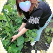 ヒメ日記 2025/06/12 20:27 投稿 新田 BBW横浜店