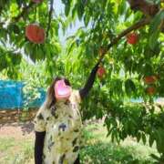 ヒメ日記 2025/07/04 23:51 投稿 新田 BBW横浜店