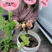 ヒメ日記 2025/11/15 22:57 投稿 新田 BBW横浜店