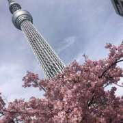 ヒメ日記 2025/03/13 18:45 投稿 ありさ One More奥様　町田相模原店