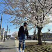 ヒメ日記 2025/04/06 23:08 投稿 ありさ One More奥様　町田相模原店