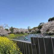 ヒメ日記 2025/06/03 11:52 投稿 まな デリトップ