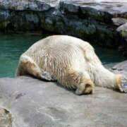 ヒメ日記 2025/06/17 15:51 投稿 まな デリトップ