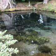 ヒメ日記 2025/06/21 14:32 投稿 まな デリトップ