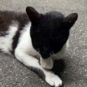 のあ 🩵🙇🏻‍♀️💦 One More奥様　厚木店