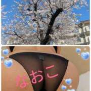 ヒメ日記 2026/04/03 10:27 投稿 なおこ 佐久上田人妻隊