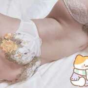 ヒメ日記 2025/02/08 17:02 投稿 さえ MIKADO