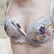 ヒメ日記 2025/02/24 09:51 投稿 さえ MIKADO