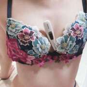 ヒメ日記 2025/03/20 10:06 投稿 さえ MIKADO