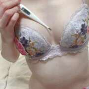 ヒメ日記 2025/04/22 08:41 投稿 さえ MIKADO