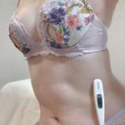 ヒメ日記 2025/04/28 09:59 投稿 さえ MIKADO