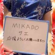 ヒメ日記 2025/11/18 17:51 投稿 さえ MIKADO