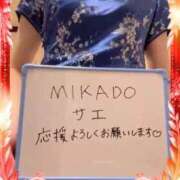 ヒメ日記 2025/11/20 08:41 投稿 さえ MIKADO