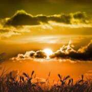 ヒメ日記 2025/08/13 12:27 投稿 愛月　あさみ 三丁目の奥様（東京ハレ系）