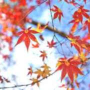 ヒメ日記 2025/09/13 18:46 投稿 愛月　あさみ 三丁目の奥様（東京ハレ系）