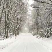 ヒメ日記 2025/11/21 12:00 投稿 愛月　あさみ 三丁目の奥様（東京ハレ系）