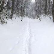 愛月　あさみ 雪降るかな☃️❓ 三丁目の奥様（東京ハレ系）