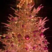 ヒメ日記 2025/12/17 12:45 投稿 愛月　あさみ 三丁目の奥様（東京ハレ系）