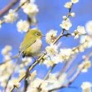 ヒメ日記 2026/02/23 09:19 投稿 愛月　あさみ 三丁目の奥様（東京ハレ系）