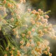 愛月　あさみ 怖いな〜怖いな〜… 三丁目の奥様（東京ハレ系）