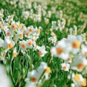 ヒメ日記 2026/03/12 13:35 投稿 愛月　あさみ 三丁目の奥様（東京ハレ系）