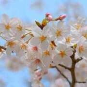 ヒメ日記 2026/03/18 12:16 投稿 愛月　あさみ 三丁目の奥様（東京ハレ系）