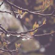 ヒメ日記 2026/04/27 12:14 投稿 愛月　あさみ 三丁目の奥様（東京ハレ系）