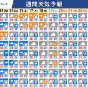 ヒメ日記 2026/09/13 08:20 投稿 愛月　あさみ 三丁目の奥様（東京ハレ系）
