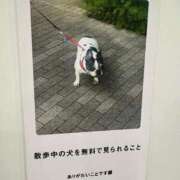 ヒメ日記 2025/10/20 17:55 投稿 ♡カリン MEGA PALACE(メガパレス）