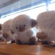 ヒメ日記 2025/10/24 16:36 投稿 ♡カリン MEGA PALACE(メガパレス）