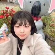 ヒメ日記 2025/11/14 07:26 投稿 ♡カリン MEGA PALACE(メガパレス）