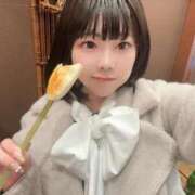 ヒメ日記 2025/12/10 07:23 投稿 ♡カリン MEGA PALACE(メガパレス）