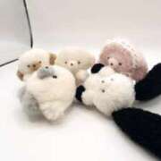 ヒメ日記 2025/12/17 11:33 投稿 ♡カリン MEGA PALACE(メガパレス）