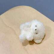 ヒメ日記 2025/12/27 07:26 投稿 ♡カリン MEGA PALACE(メガパレス）