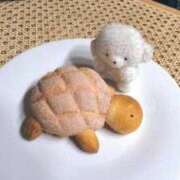 ヒメ日記 2025/12/28 13:48 投稿 ♡カリン MEGA PALACE(メガパレス）