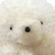 ヒメ日記 2026/01/06 10:08 投稿 ♡カリン MEGA PALACE(メガパレス）