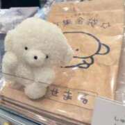 ヒメ日記 2026/01/08 16:43 投稿 ♡カリン MEGA PALACE(メガパレス）