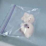 ヒメ日記 2026/01/11 00:17 投稿 ♡カリン MEGA PALACE(メガパレス）