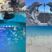 ヒメ日記 2026/01/14 13:03 投稿 ♡カリン MEGA PALACE(メガパレス）