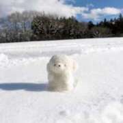 ヒメ日記 2026/01/17 10:53 投稿 ♡カリン MEGA PALACE(メガパレス）