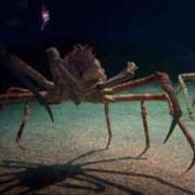 ヒメ日記 2026/01/22 11:36 投稿 ♡カリン MEGA PALACE(メガパレス）