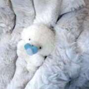 ヒメ日記 2026/02/04 17:29 投稿 ♡カリン MEGA PALACE(メガパレス）