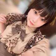 ヒメ日記 2026/02/20 23:19 投稿 ♡カリン MEGA PALACE(メガパレス）