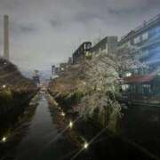 ヒメ日記 2026/04/03 07:33 投稿 ♡カリン MEGA PALACE(メガパレス）