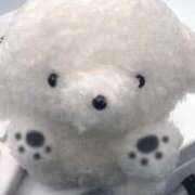 ヒメ日記 2026/05/04 09:31 投稿 ♡カリン MEGA PALACE(メガパレス）