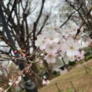 奥川 春🌸 西川口デッドボール