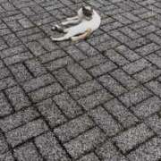 ヒメ日記 2026/04/13 15:32 投稿 そは しゃぼんくらぶ一番館