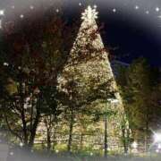 ヒメ日記 2024/12/25 08:14 投稿 れん ちゃんこ幕張店